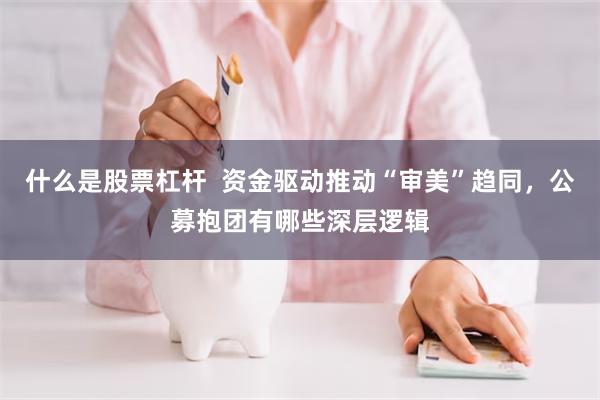 什么是股票杠杆  资金驱动推动“审美”趋同，公募抱团有哪些深层逻辑