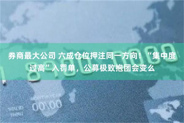 券商最大公司 六成仓位押注同一方向！“集中度过高”入罚单，公募极致抱团会变么