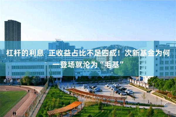杠杆的利息 正收益占比不足四成!次新基金为何一登场就沦为“毛基”