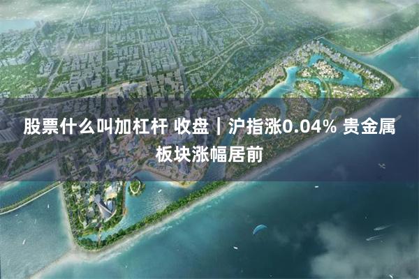 股票什么叫加杠杆 收盘|沪指涨0.04% 贵金属板块涨幅居前
