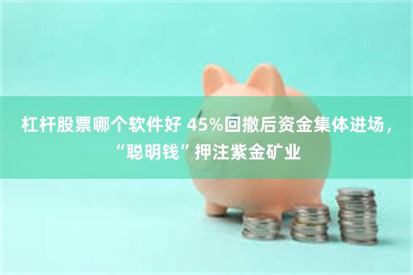 杠杆股票哪个软件好 45%回撤后资金集体进场，“聪明钱”押注紫金矿业
