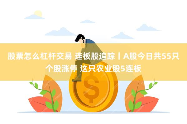 股票怎么杠杆交易 连板股追踪丨A股今日共55只个股涨停 这只农业股5连板