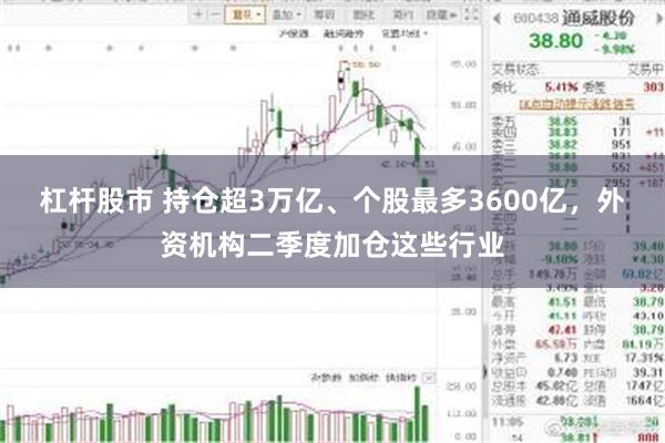 杠杆股市 持仓超3万亿、个股最多3600亿,外资机构二季度加仓这些行业