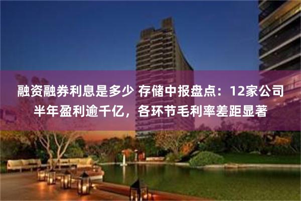 融资融券利息是多少 存储中报盘点：12家公司半年盈利逾千亿，各环节毛利率差距显著