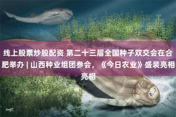 线上股票炒股配资 第二十三届全国种子双交会在合肥举办 | 山西种业组团参会,《今日农业》盛装亮相