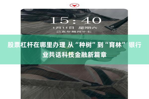 股票杠杆在哪里办理 从“种树”到“育林” 银行业共话科技金融新篇章